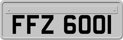 FFZ6001