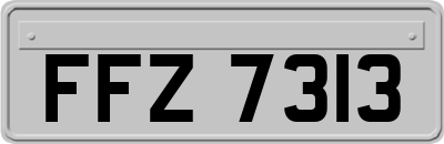 FFZ7313