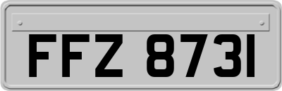 FFZ8731