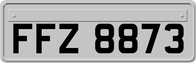 FFZ8873