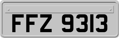FFZ9313