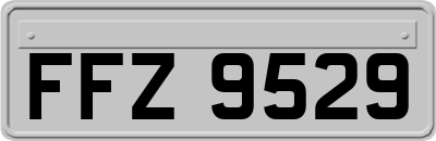 FFZ9529