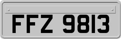 FFZ9813