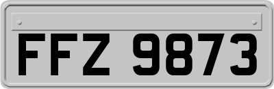 FFZ9873