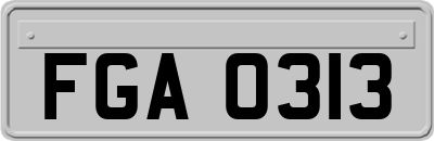 FGA0313