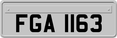 FGA1163