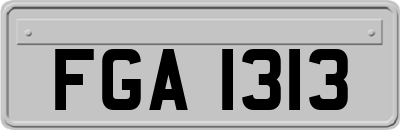 FGA1313