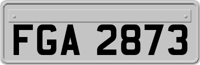 FGA2873