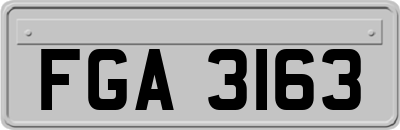 FGA3163