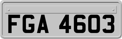 FGA4603