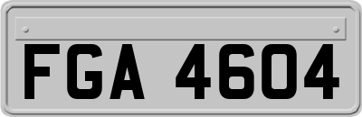 FGA4604