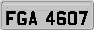 FGA4607