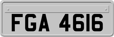 FGA4616
