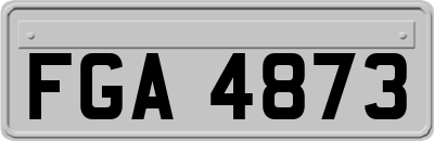 FGA4873