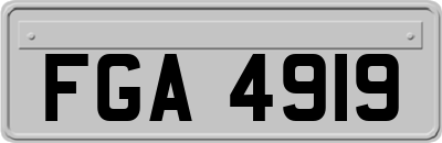 FGA4919