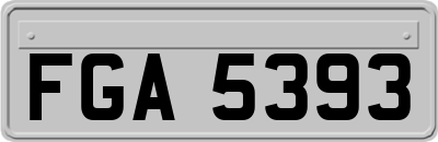 FGA5393