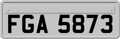 FGA5873