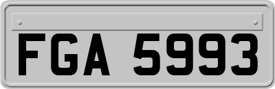 FGA5993
