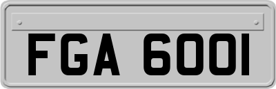 FGA6001