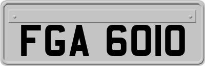 FGA6010