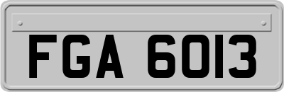 FGA6013