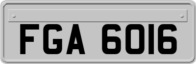 FGA6016