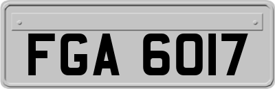 FGA6017