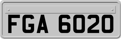 FGA6020
