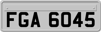 FGA6045