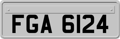 FGA6124