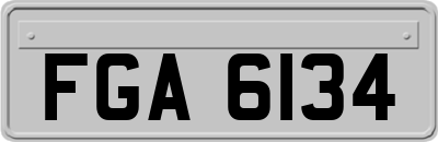 FGA6134