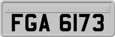 FGA6173