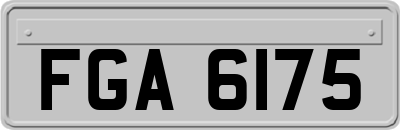 FGA6175