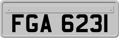 FGA6231