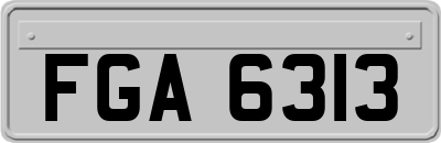 FGA6313