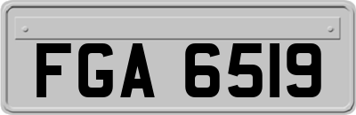 FGA6519