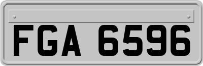 FGA6596