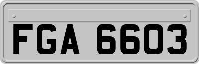 FGA6603