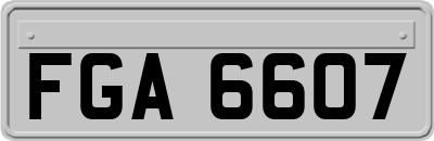 FGA6607