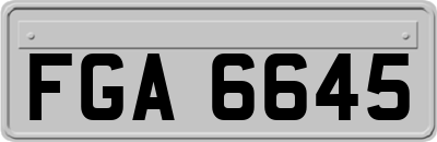 FGA6645