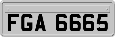FGA6665