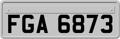FGA6873