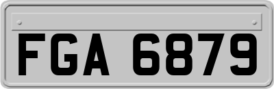 FGA6879