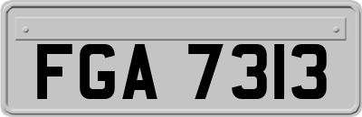 FGA7313