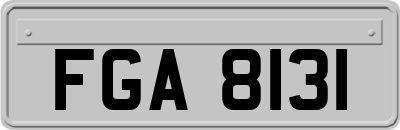 FGA8131