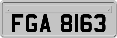 FGA8163