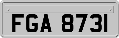 FGA8731