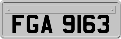 FGA9163