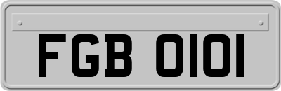 FGB0101