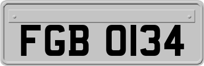 FGB0134